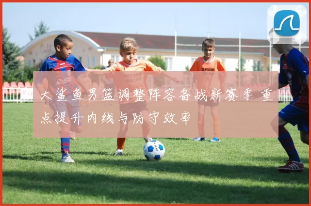 大鲨鱼男篮调整阵容备战新赛季 重点提升内线与防守效率