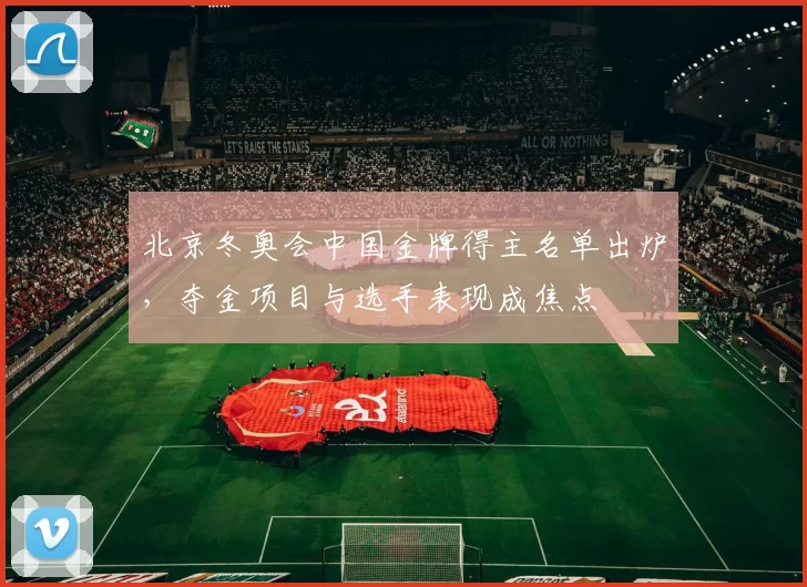 北京冬奥会中国金牌得主名单出炉，夺金项目与选手表现成焦点