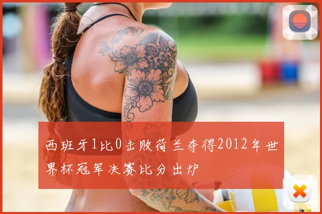 西班牙1比0击败荷兰夺得2012年世界杯冠军决赛比分出炉