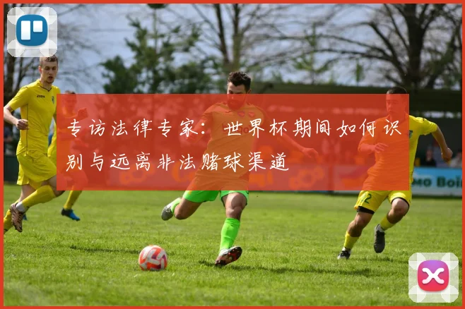 专访法律专家：世界杯期间如何识别与远离非法赌球渠道