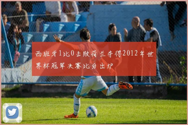 西班牙1比0击败荷兰夺得2012年世界杯冠军决赛比分出炉